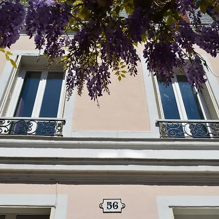 Wisteria * Fontainebleau